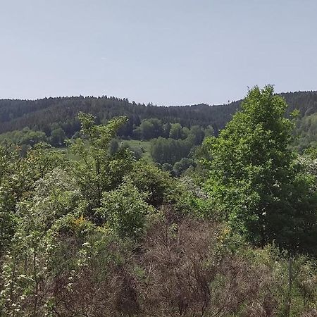 Sessles Waldhaeusschen Dietzhausen Suhl Extérieur photo