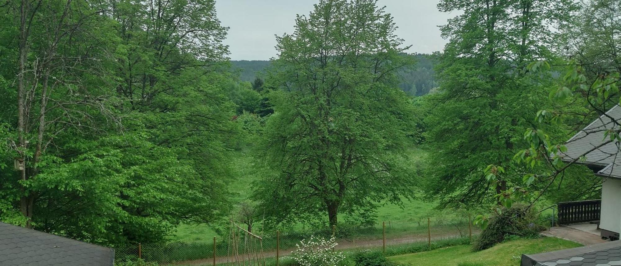Sessles Waldhaeusschen Dietzhausen Suhl Extérieur photo