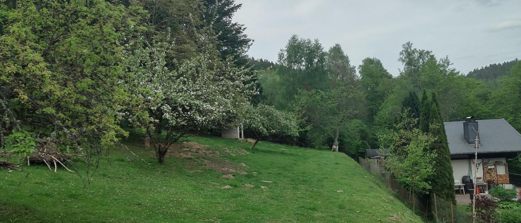 Sessles Waldhaeusschen Dietzhausen Suhl Extérieur photo