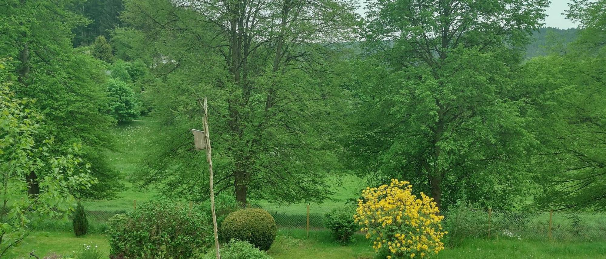 Sessles Waldhaeusschen Dietzhausen Suhl Extérieur photo